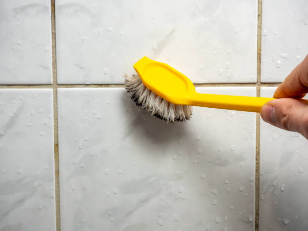 Best Professional Mold Removal  in Manahawkin, NJ