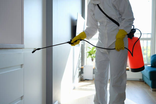 Best Attic Mold Removal  in Manahawkin, NJ